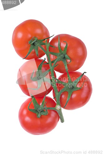 Image of tomatoes