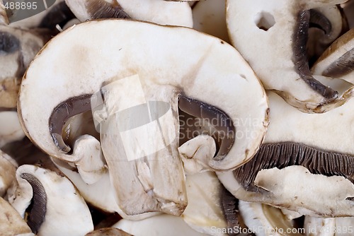 Image of mushrooms
