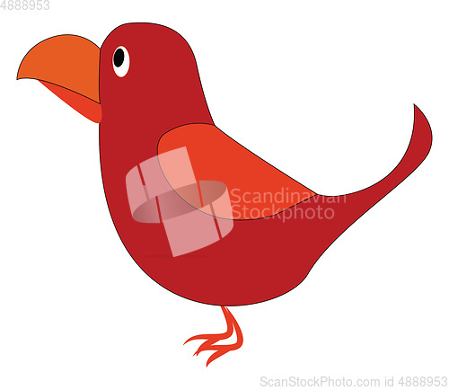 Image of A cute little red-colored cartoon bird vector or color illustrat