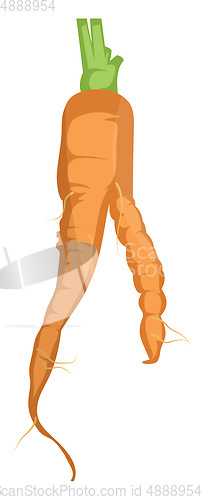 Image of Orange cartoon carrot vector illustration of vegetables on white