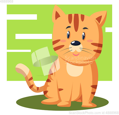 Image of Baby Tiger, vector color illustration.