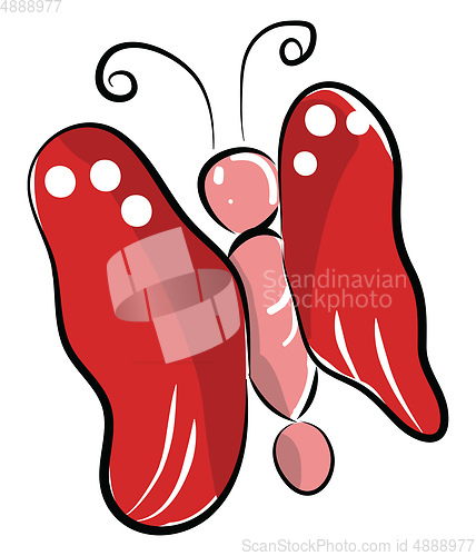 Image of A gorgeous butterfly with red wings and pink body vector color d