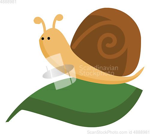 Image of A cute little cartoon brown snail crawling on a dark green leaf 