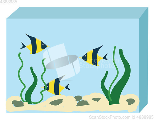Image of Aquarium with three fishes vector illustration on white backgrou
