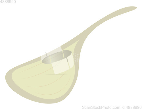 Image of Single clove of the spice with strong smell called garlic vector