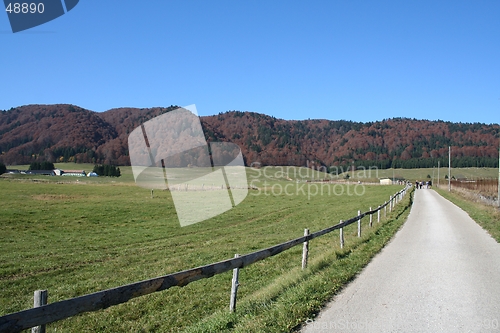 Image of road to red hills