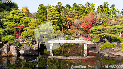 Image of Autumn garden in Japan