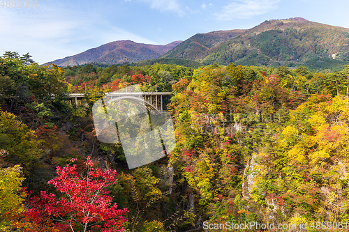 Image of Bridge passing though Naruko Gorge