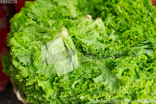 Image of Fresh Lettuce cabbage in wet market 