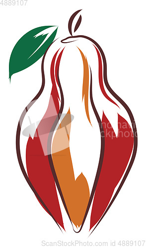 Image of Cacao sketch vector or color illustration
