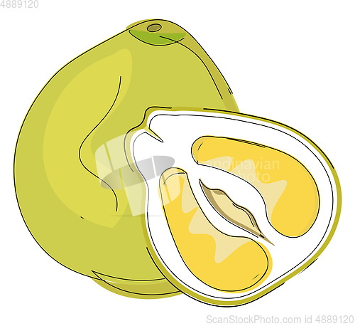 Image of Clipart of a whole and half-cut pomelo fruit vector or color ill