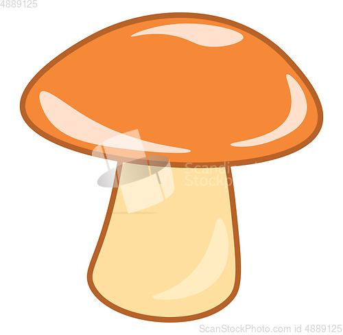 Image of Mushroom vector or color illustration