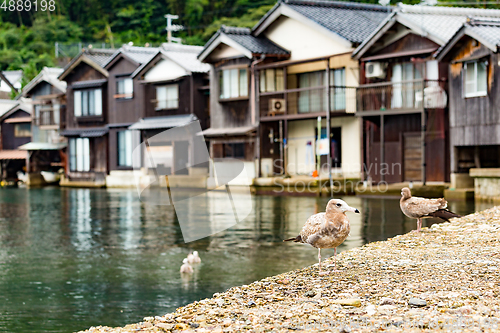 Image of Traditional old village, Ine cho in Kyoto