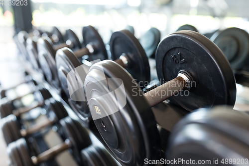 Image of Rows of metal dumbbells on rack in the gym