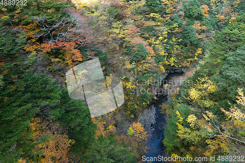 Image of Natural landscape in autumn