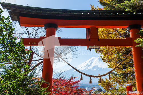 Image of Torii, maple tree and Mount Fuji in Japan