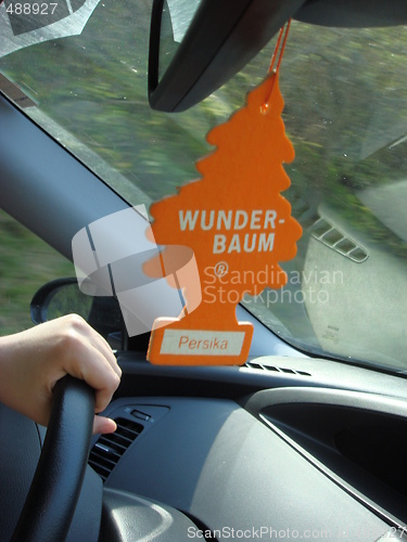 Image of Wunder Baum