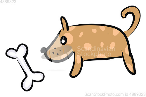 Image of Brown dog with a bone vector or color illustration