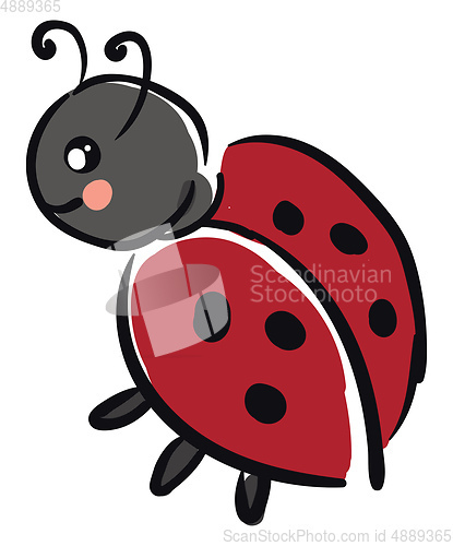 Image of A small black-colored ladybug vector or color illustration