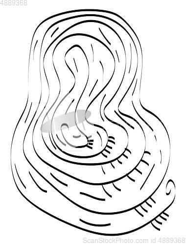 Image of Pattern of curls vector or color illustration