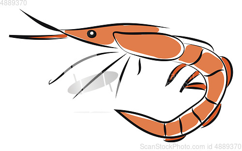 Image of Clipart of an orange-colored shrimp/Sea-creature/Prawn vector or