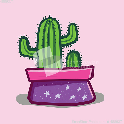 Image of Two lively cactus plants potted for indoor decoration provides e