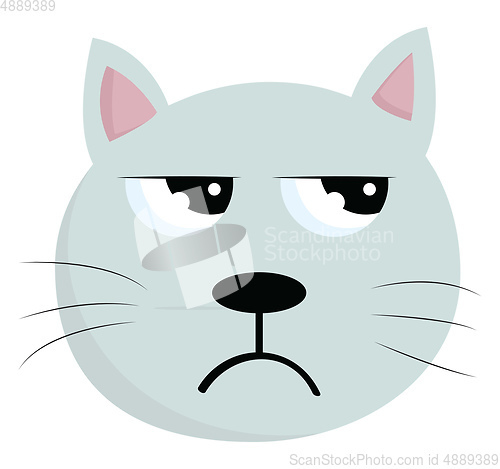 Image of A face of an angry cat vector or color illustration