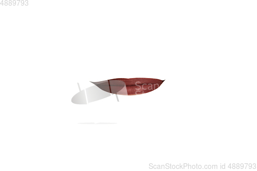 Image of Close-up view of female mouth wearing red lipstick isolated on white studio background