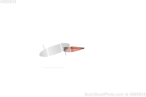 Image of Close-up view of female mouth wearing lipstick isolated on white studio background