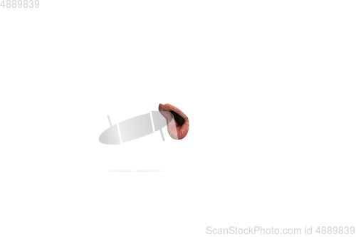 Image of Close-up view of female mouth wearing lipstick isolated on white studio background