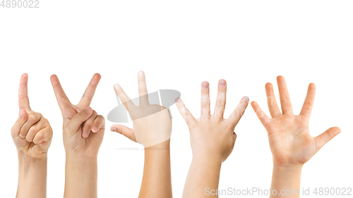 Image of Kids hands gesturing isolated on white studio background, copyspace for ad