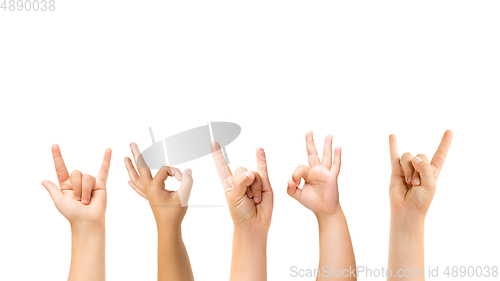 Image of Kids hands gesturing isolated on white studio background, copyspace for ad