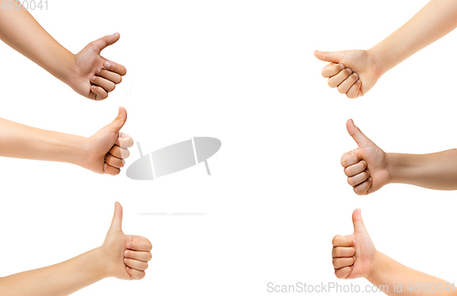 Image of Kids hands gesturing isolated on white studio background, copyspace for ad