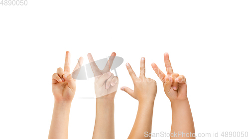 Image of Kids hands gesturing isolated on white studio background, copyspace for ad