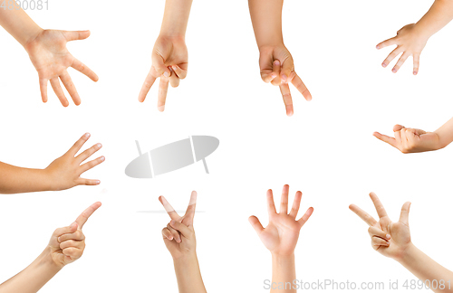 Image of Kids hands gesturing isolated on white studio background, copyspace for ad