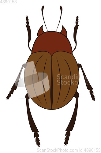 Image of A brown beetle with six legs vector or color illustration