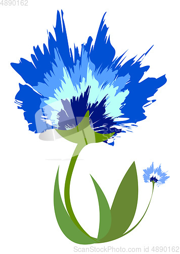 Image of Beautiful blue flower 