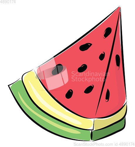 Image of Image of watermelon, vector or color illustration.