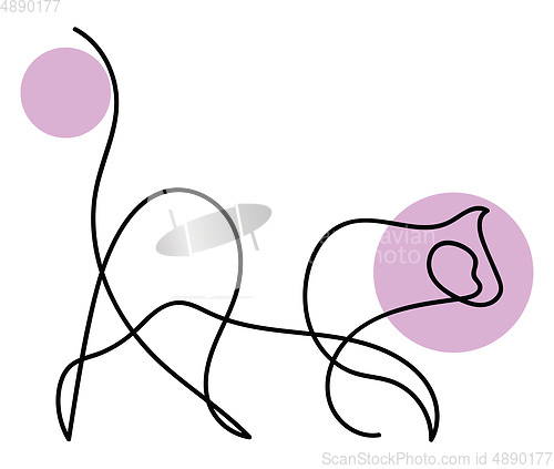 Image of Image of cat line art, vector or color illustration.