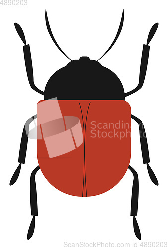 Image of Image of beetle, vector or color illustration.