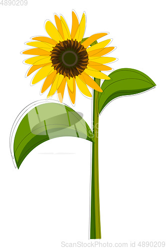 Image of Clipart of a sunflower set isolated on white-colored background 