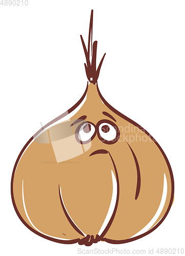 Image of A color illustration of an onion, vector or color illustration.