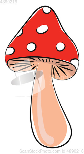 Image of Mushroom, vector or color illustration.