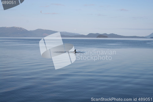 Image of Humpback Whale in Alaska Waters