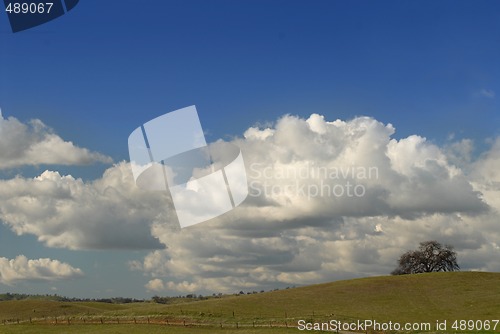 Image of Lone tree on a California hill under a cloud filled sky