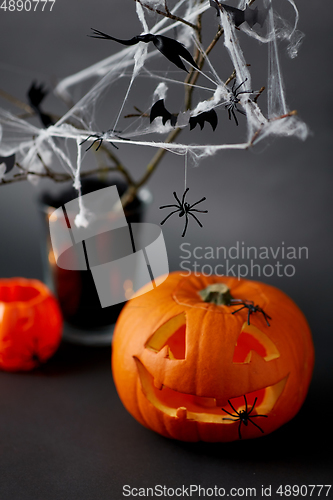 Image of pumpkins, candles and halloween decorations