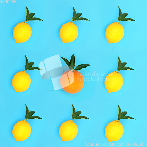 Image of Abstract Odd One Out Orange and Lemon Fruit Concept 