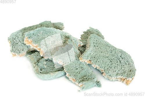 Image of Dangerous Green Moldy Bread Slices