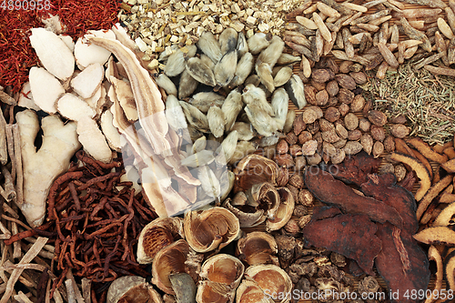 Image of Traditional Plant Based Chinese Herb and Spice Collection 