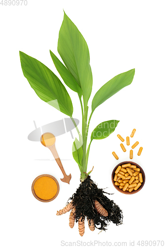 Image of Turmeric Spice Plant with Root Powder and Capsules